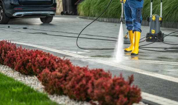 Best Affordable Pressure Washing  in Barneveld, WI