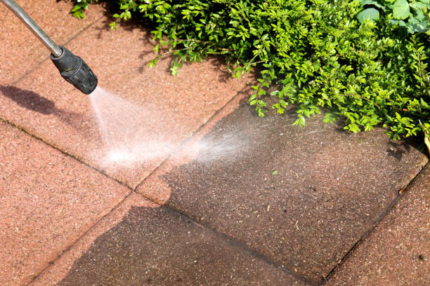 Best Roof Power Washing Services  in Barneveld, WI